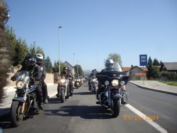 2011 &raquo; Tigri na zaključni vožnji Modrasov - 1.10.11